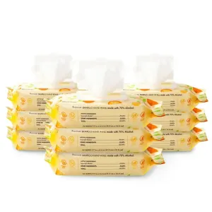 9 PACK - Citrus Hand Wipes