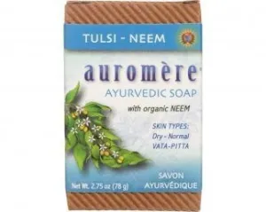 Auromere Ayurvedic Products Ayurvedic Neem Picks 100 Toothpicks