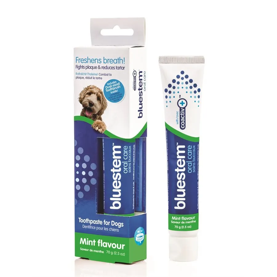 Bluestem Oral Care Vanilla-Mint Flavored Toothpaste & Toothbrush Combo Pack 70g Dog SALE