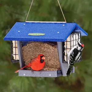 Duncraft Cardinal Shield Hopper & Suet Feeder