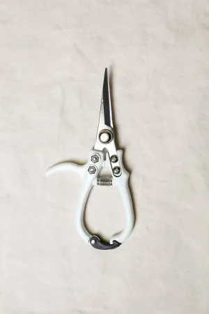 Pruning Shears